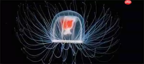 支付宝神奇海洋听说水母身上百分之九十五都是水是真的吗