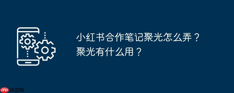小红书合作笔记聚光怎么弄？聚光有什么用？