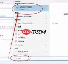 如何在Windows11中打开变量数值