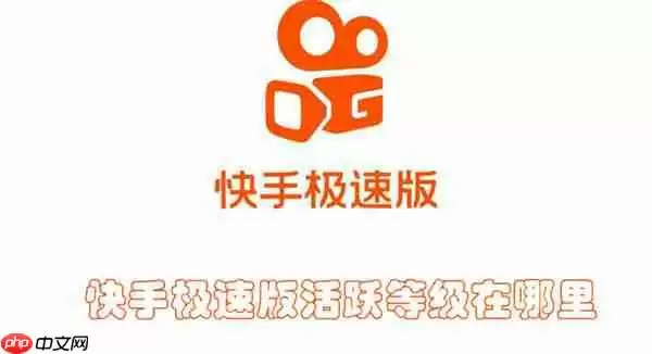 快手极速版活跃等级在哪里