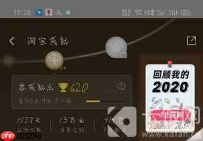 2020淘宝年度账单怎么查询