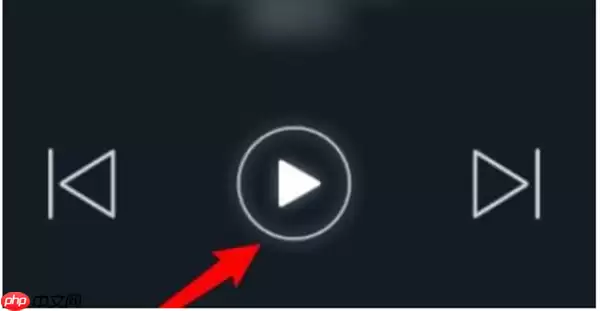 dj多多怎么开启车载模式