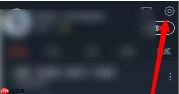 dj多多怎么开启车载模式