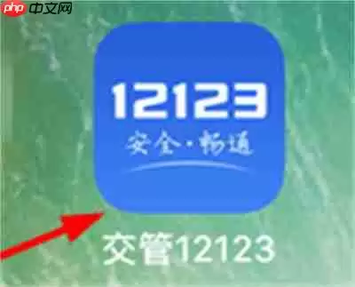 交管12123电子驾照怎么查找