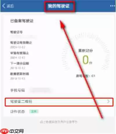 交管12123电子驾照怎么查找