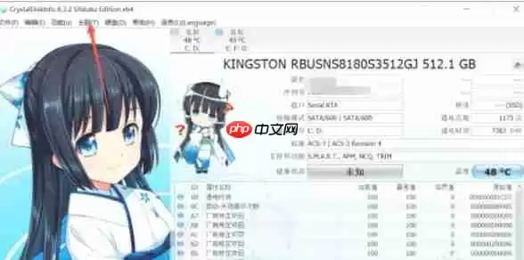 CrystalDiskInfo怎么设置字体-CrystalDiskInfo设置字体的方法