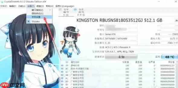 CrystalDiskInfo怎么设置字体-CrystalDiskInfo设置字体的方法