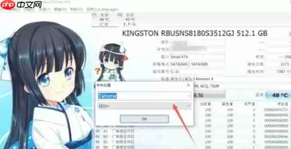 CrystalDiskInfo怎么设置字体-CrystalDiskInfo设置字体的方法