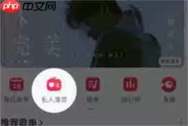 网易云音乐私人漫游模式如何更换