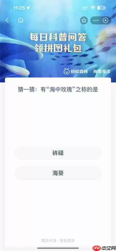 支付宝神奇海洋5.3答案是什么