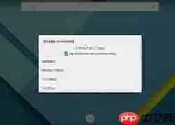 secondscreen如何获取权限