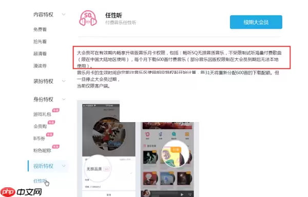 哔哩哔哩超级大会员有什么用