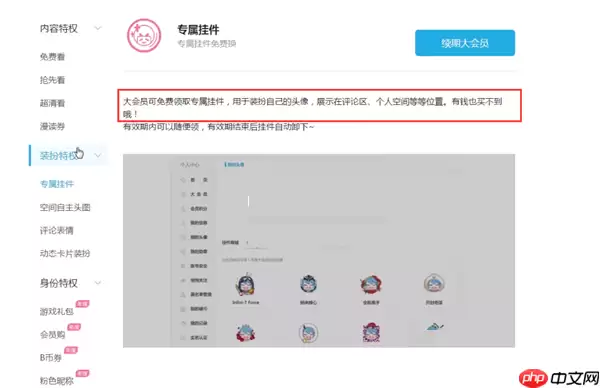 哔哩哔哩超级大会员有什么用