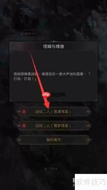 塔姆与维德：游戏攻略精解