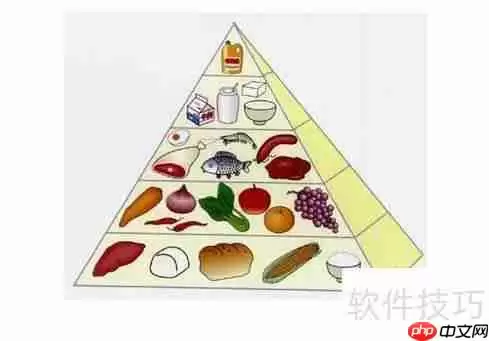 健美初学者必看:膳食营养补充指南
