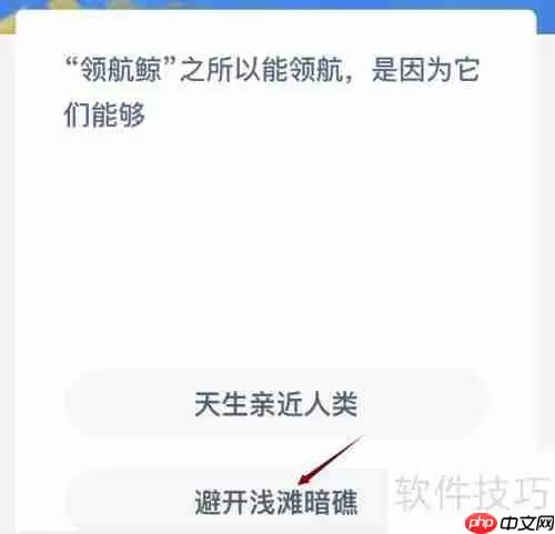 领航鲸靠什么领航？