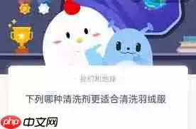 哪种清洗剂适合清洗羽绒服