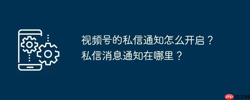 视频号的私信通知怎么开启?私信消息通知在哪里?