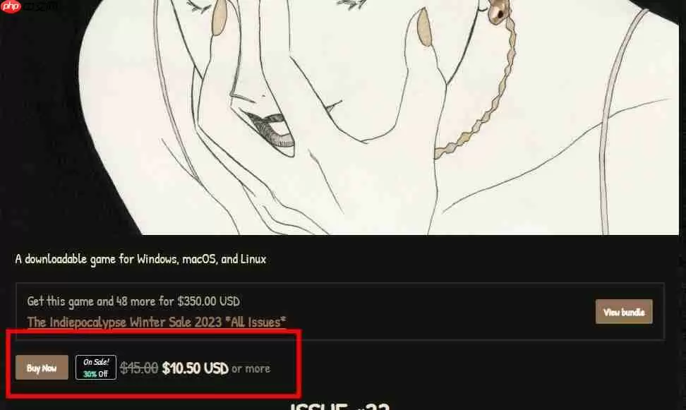 《itch.io》支付方法教程