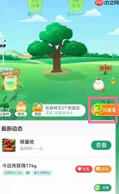 支付宝能量雨在哪里