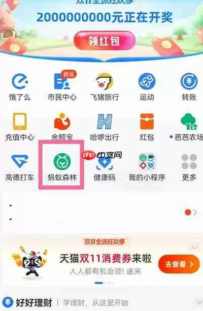 支付宝能量雨在哪里