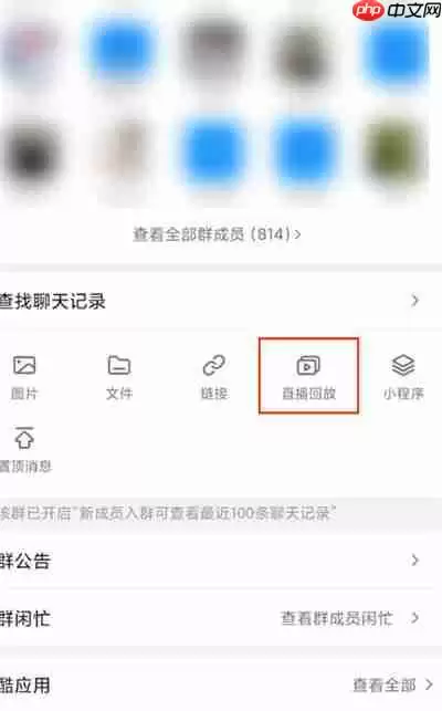 钉钉怎么把回放分享到群里