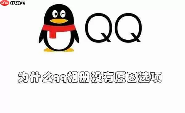 为什么qq相册没有原图选项