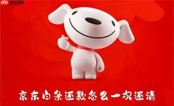 京东白条还款怎么一次还清