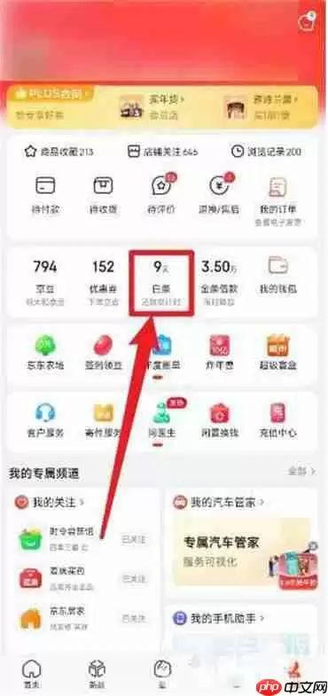 京东白条还款怎么一次还清