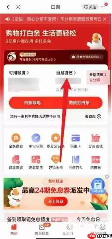 京东白条还款怎么一次还清