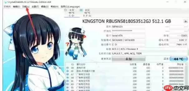 CrystalDiskInfo怎么设置自动刷新对象-CrystalDiskInfo设置自动刷新对象的方法