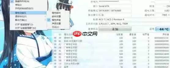 CrystalDiskInfo怎么设置自动刷新对象-CrystalDiskInfo设置自动刷新对象的方法