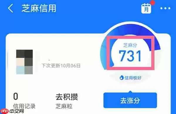 支付宝怎么查看自己的信用分