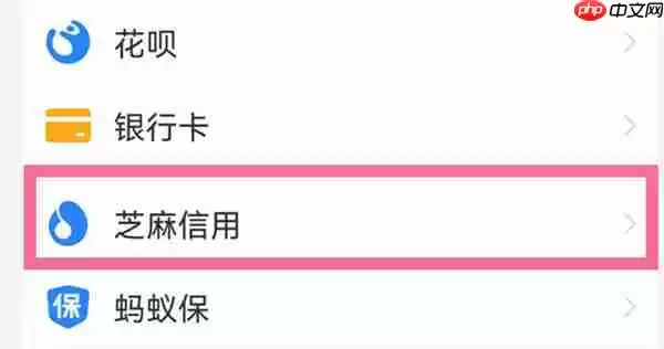 支付宝怎么查看自己的信用分