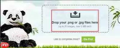 TinyPng怎么缩小图片体积