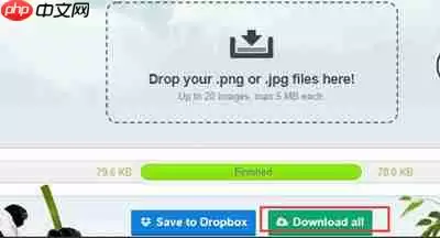 TinyPng怎么缩小图片体积