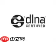 dlna怎么使用？dlna使用方法说明