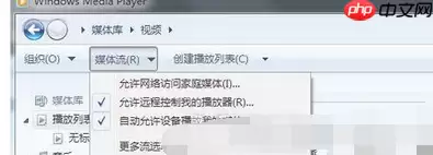 dlna怎么使用？dlna使用方法说明