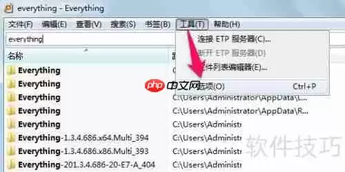 Everything中文版使用技巧：高效搜索文件的方法