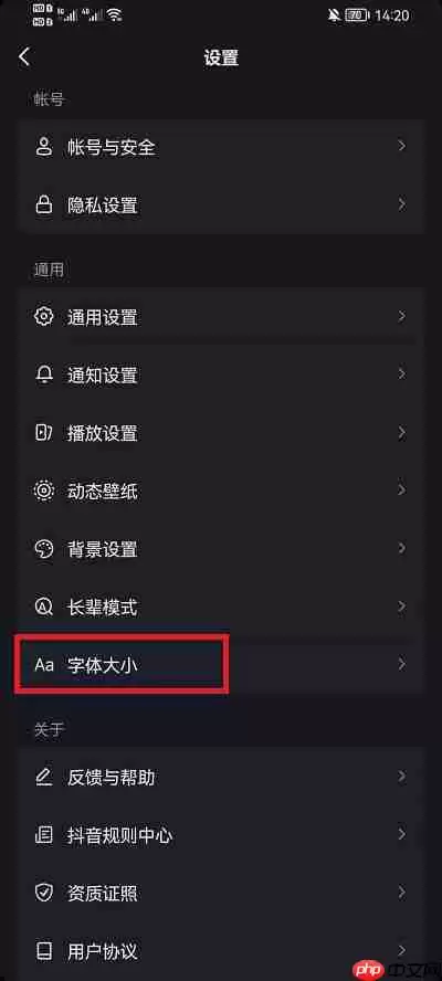 抖音字体怎么调整