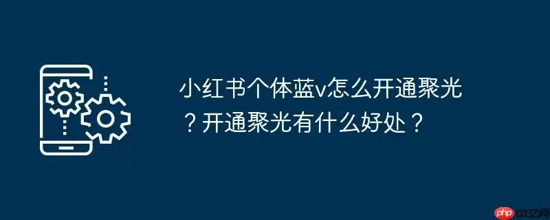 小红书个体蓝v怎么开通聚光？开通聚光有什么好处？