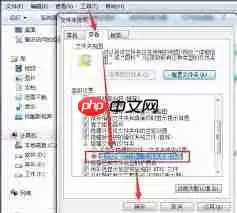 格式工厂为何无法转换qlv格式