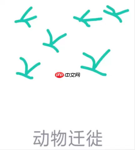 QQ红包动物迁徙怎么画？qq画图动物迁移快速画法