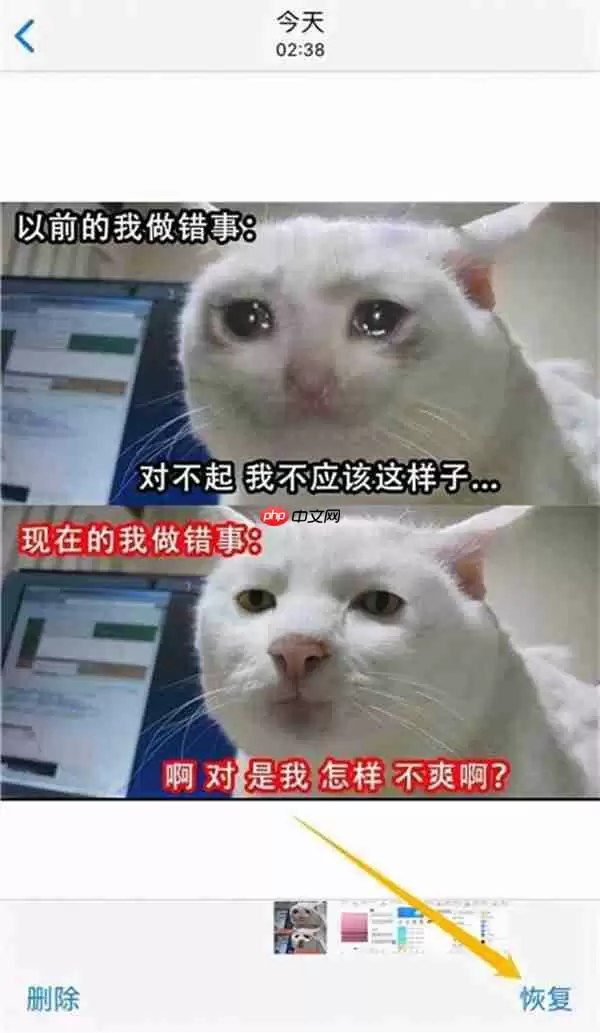 苹果手机已删除照片怎么恢复