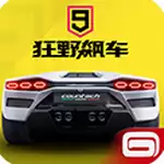 狂野飙车9