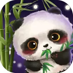 熊猫大师