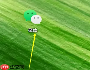 微信电脑版怎么查看音频文件位置-查看音频文件位置的方法