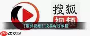 搜狐视频如何投屏到电视