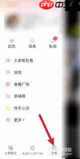 快手怎么隐藏在线状态