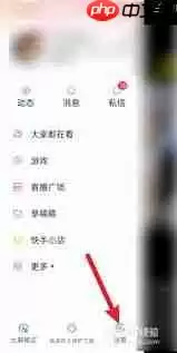 快手怎么隐藏在线状态